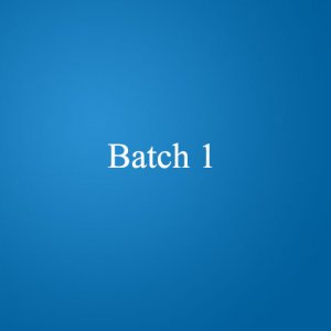 Batch 1