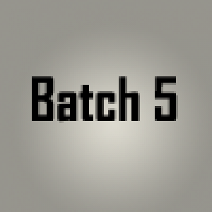 Batch 5