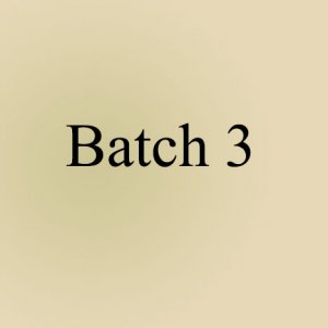 Batch 3
