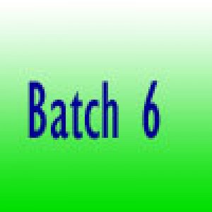 Batch 6